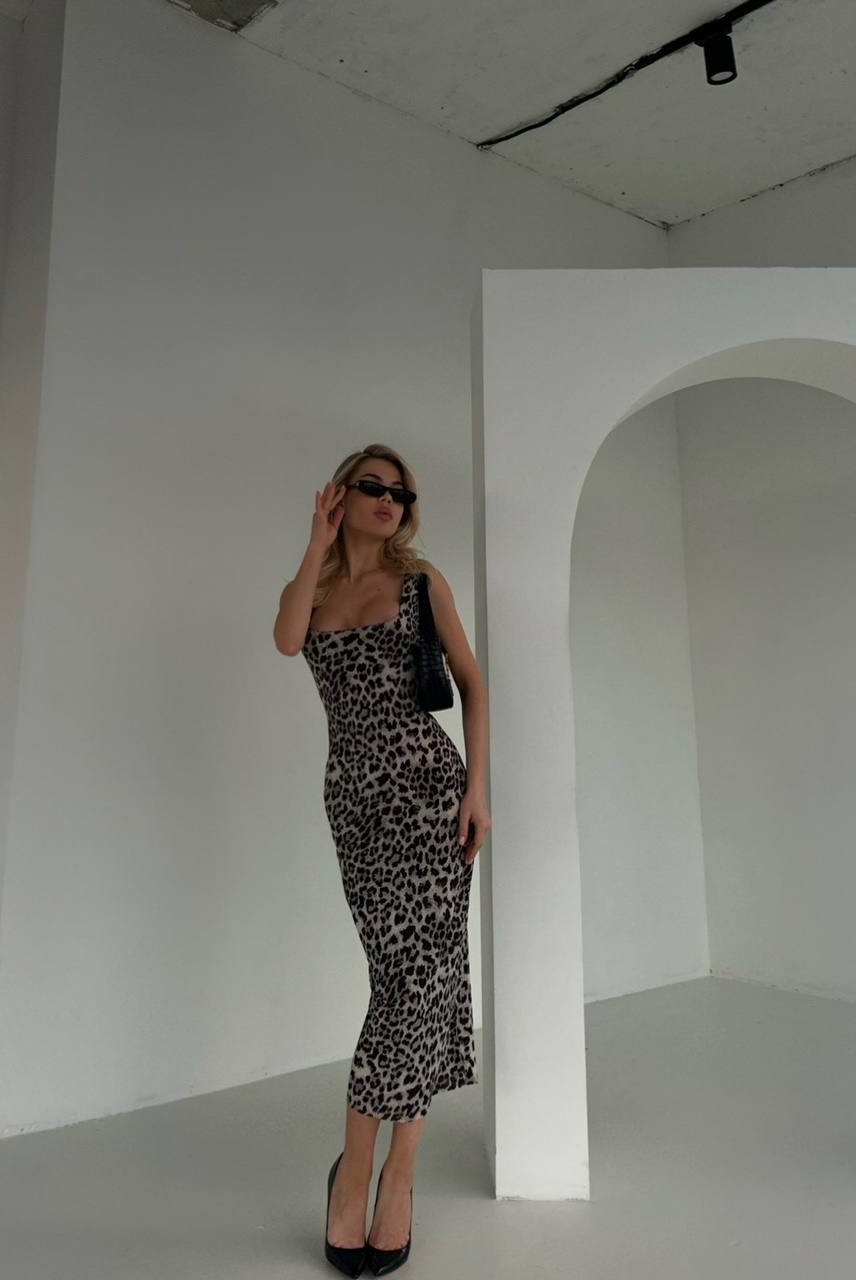 cb7eb258-fdf8-11ee-ad75-166b0be12ee5_2