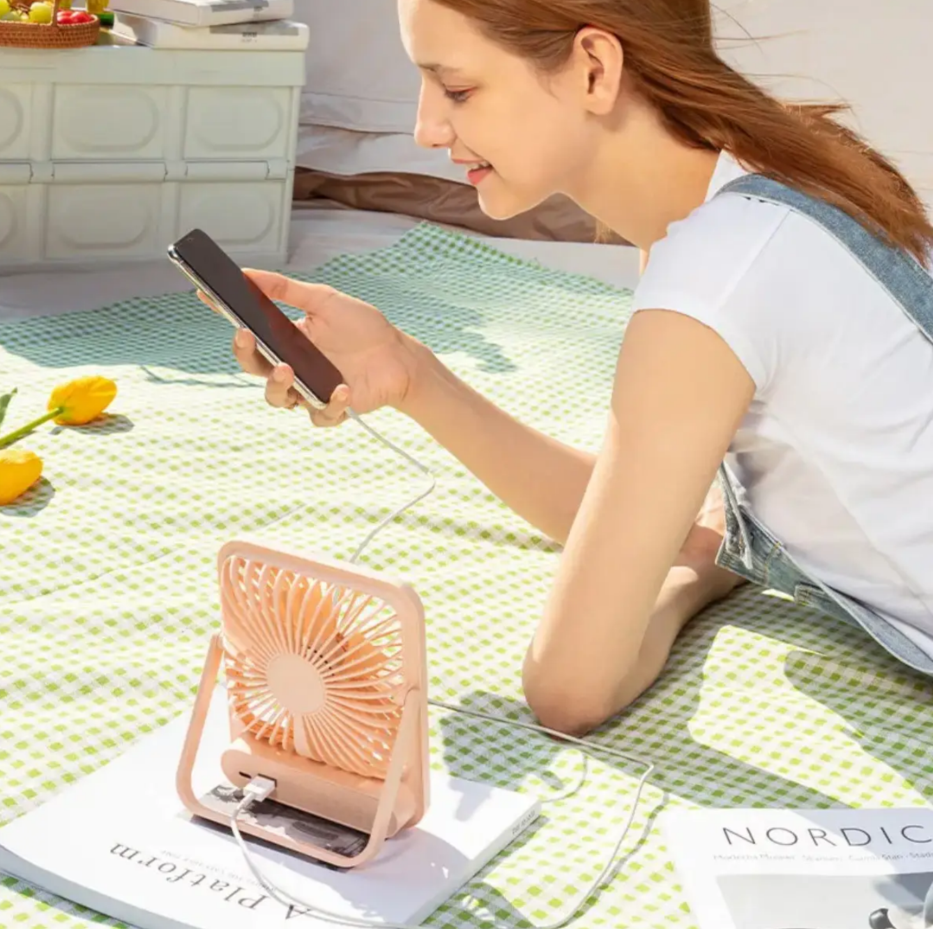 4d79cfb5-1a85-11ef-ad89-166b0be12ee5_1