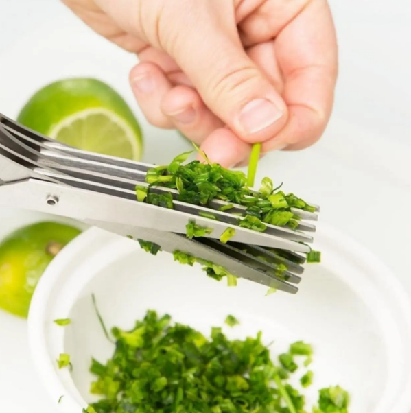 95acdede-1fec-11f0-8622-dee18ff4e8c0_3