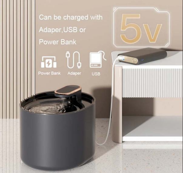 e03a4556-2dd4-11f0-8622-dee18ff4e8c0_3