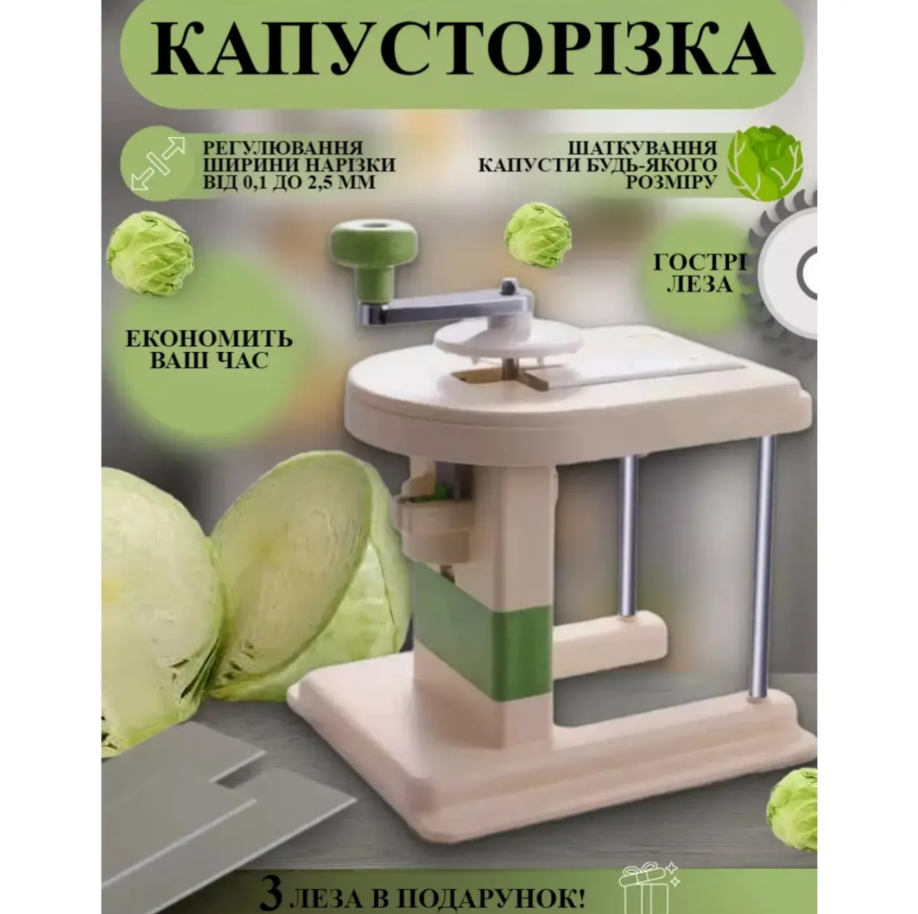 e2152a0d-d052-11ef-8621-dee18ff4e8c0_2