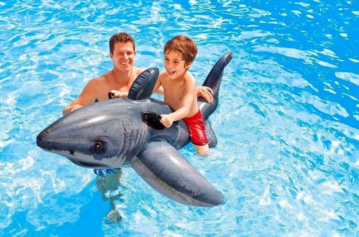 eb861e36-3313-11ef-ad92-166b0be12ee5_2