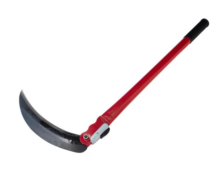 07363427-1c3e-11ee-ad00-166b0be12ee5_1