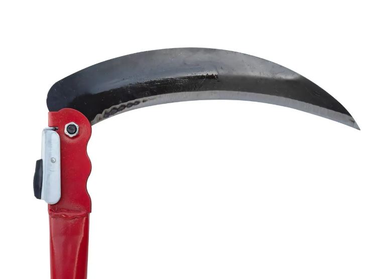 07363427-1c3e-11ee-ad00-166b0be12ee5_4