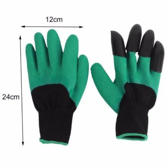 0d329bbd-b48e-11ef-8620-dee18ff4e8c0_4