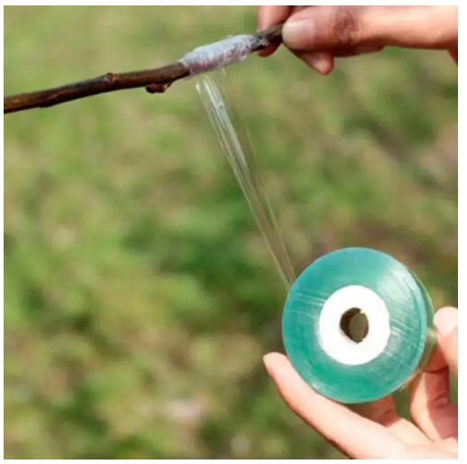 25ee07a6-c720-11ec-ac98-166b0be12ee5_1