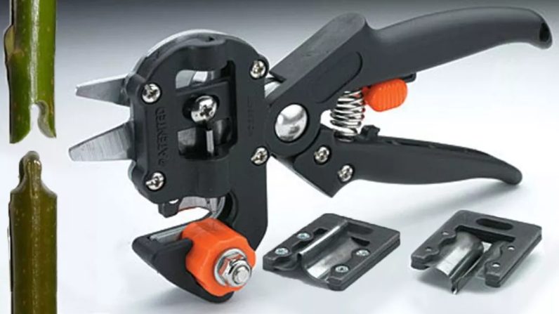 3f96b266-97a3-11ea-ab8b-166b0be12ee5_2