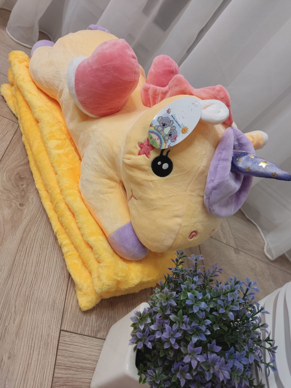 421c582f-622b-11ee-ad21-166b0be12ee5_1