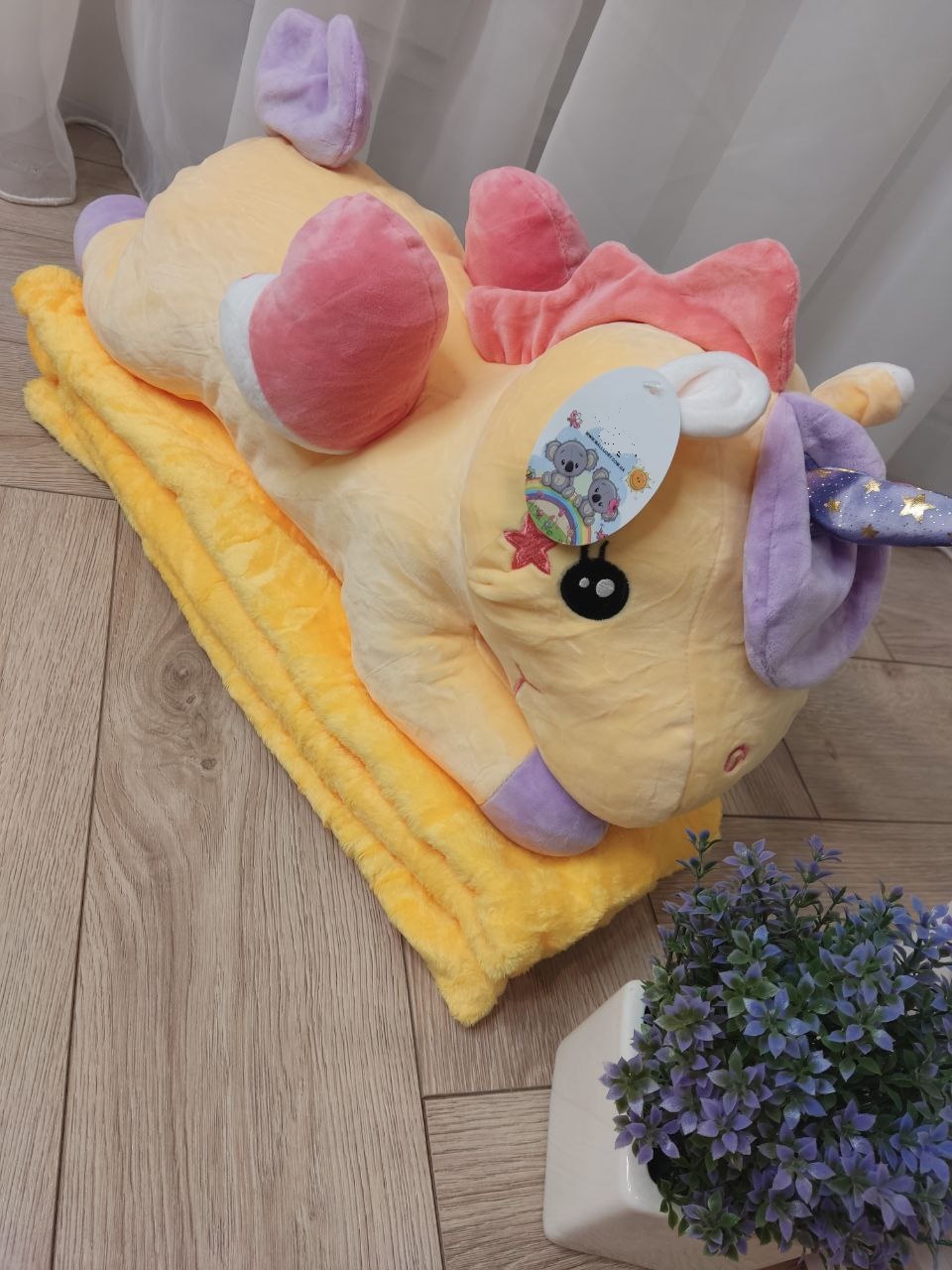 421c582f-622b-11ee-ad21-166b0be12ee5_5