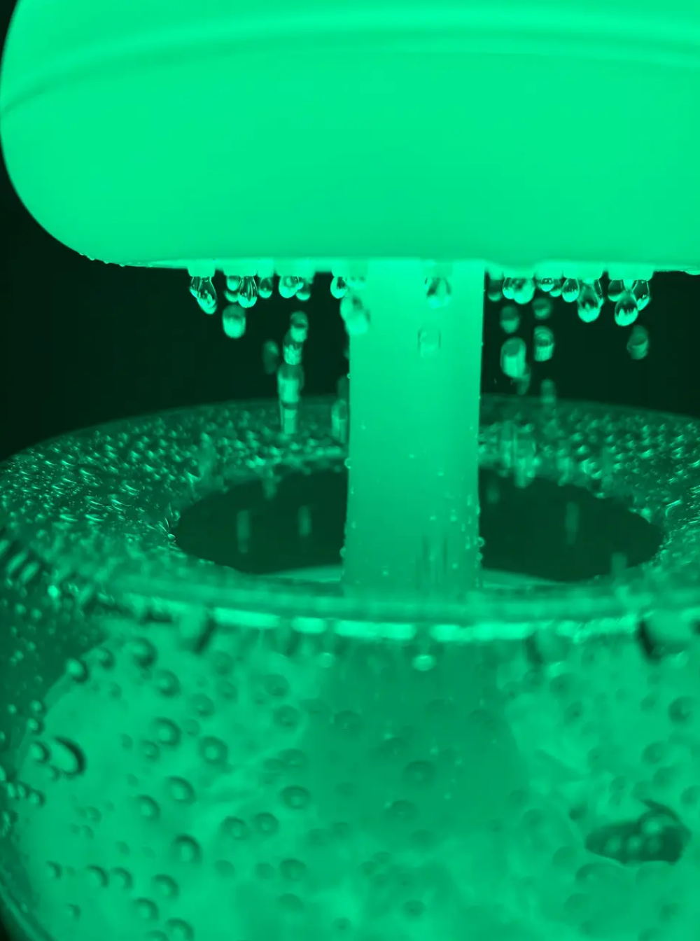 519b3e5a-bd07-11ee-ad4a-166b0be12ee5_6