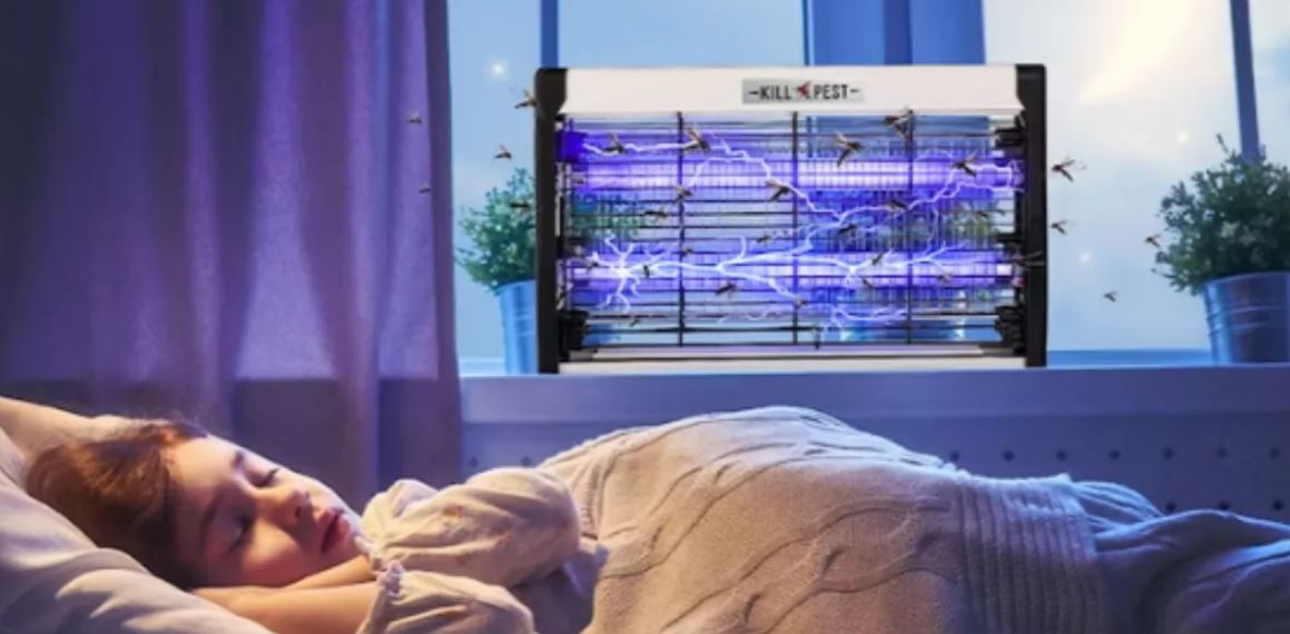 56c76502-fbaa-11ee-ad75-166b0be12ee5_4