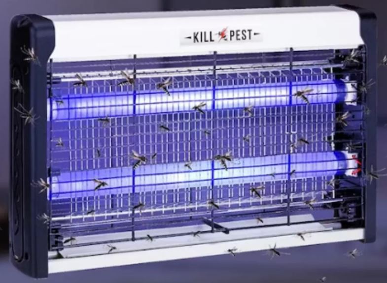 56c76502-fbaa-11ee-ad75-166b0be12ee5_5