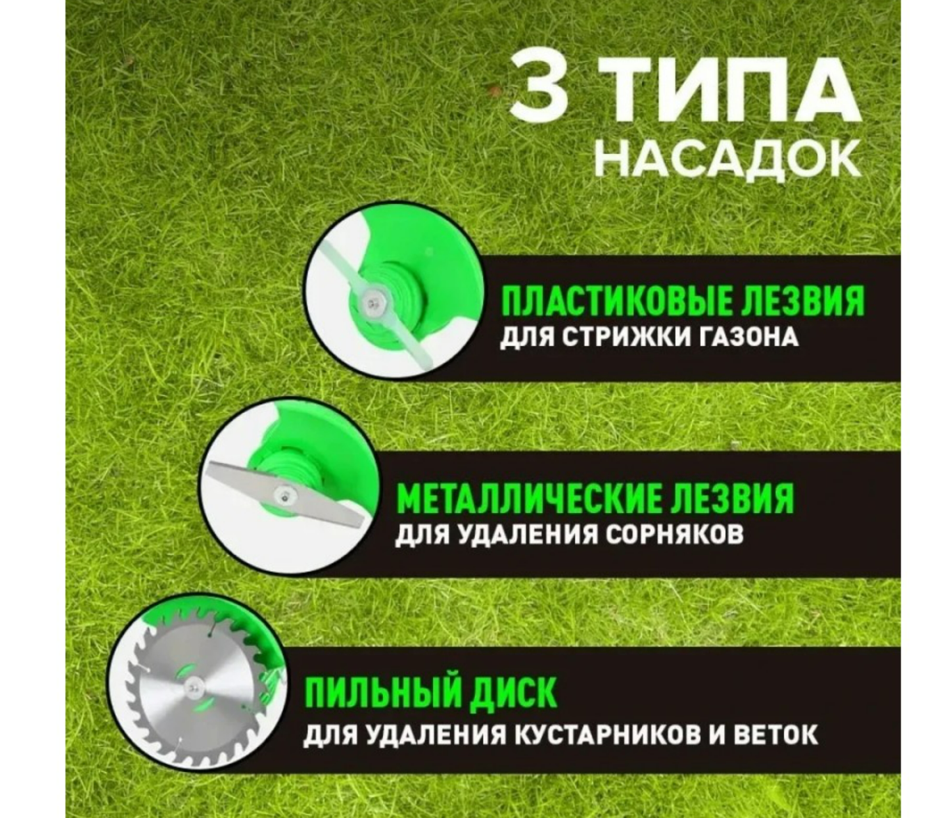 6c273a90-2649-11ef-ad92-166b0be12ee5_1