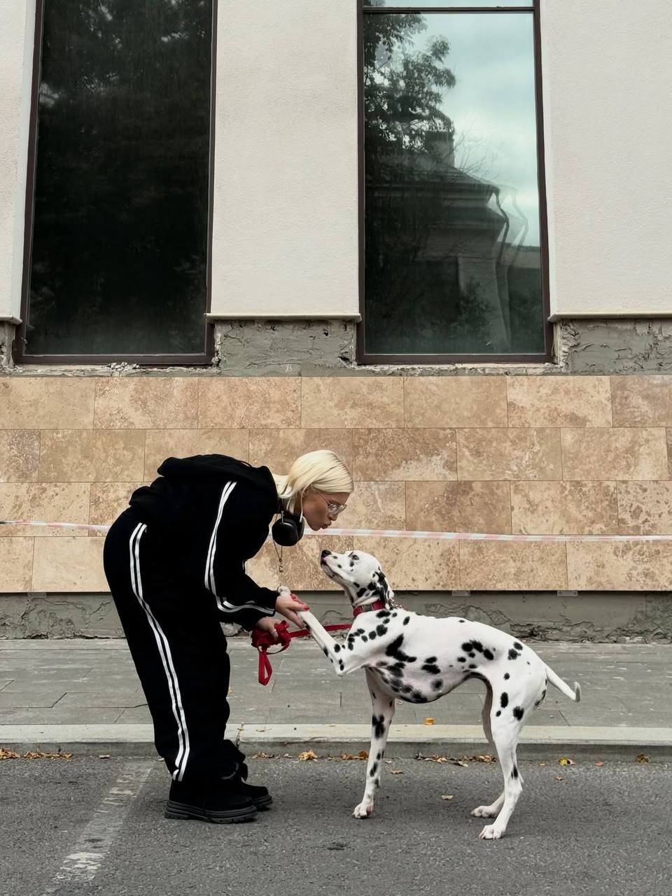 80e10dbf-4ba3-11f0-8622-dee18ff4e8c0_1