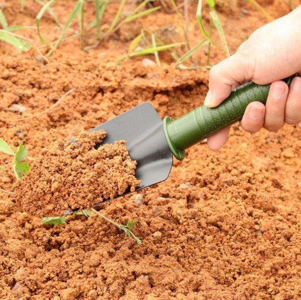 87e7f9cc-103b-11ee-acfe-166b0be12ee5_2