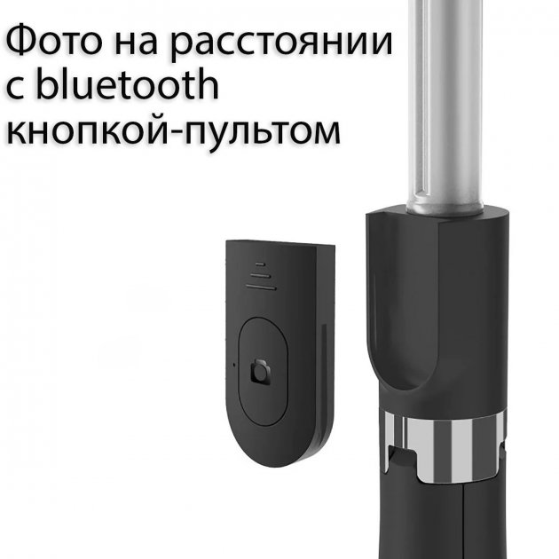 c79b5362-746b-11ec-ac79-166b0be12ee5_1