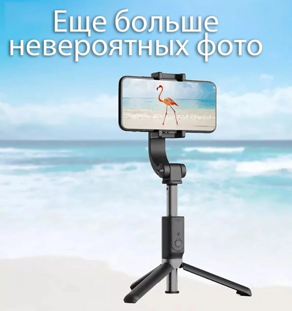 c79b5362-746b-11ec-ac79-166b0be12ee5_4