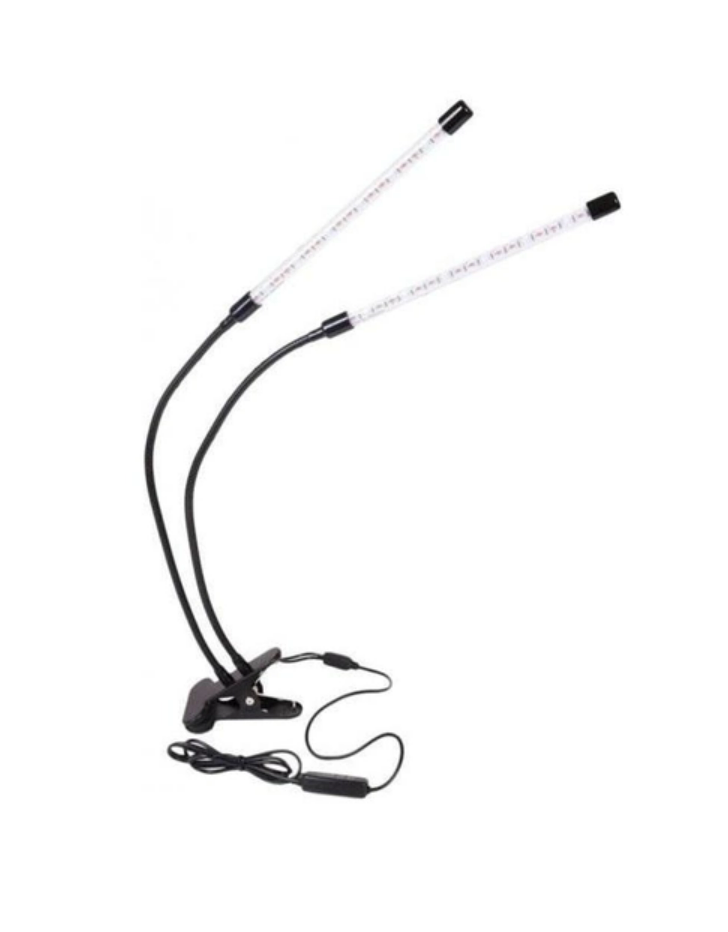 c9e6338b-1aa1-11ef-ad89-166b0be12ee5_2