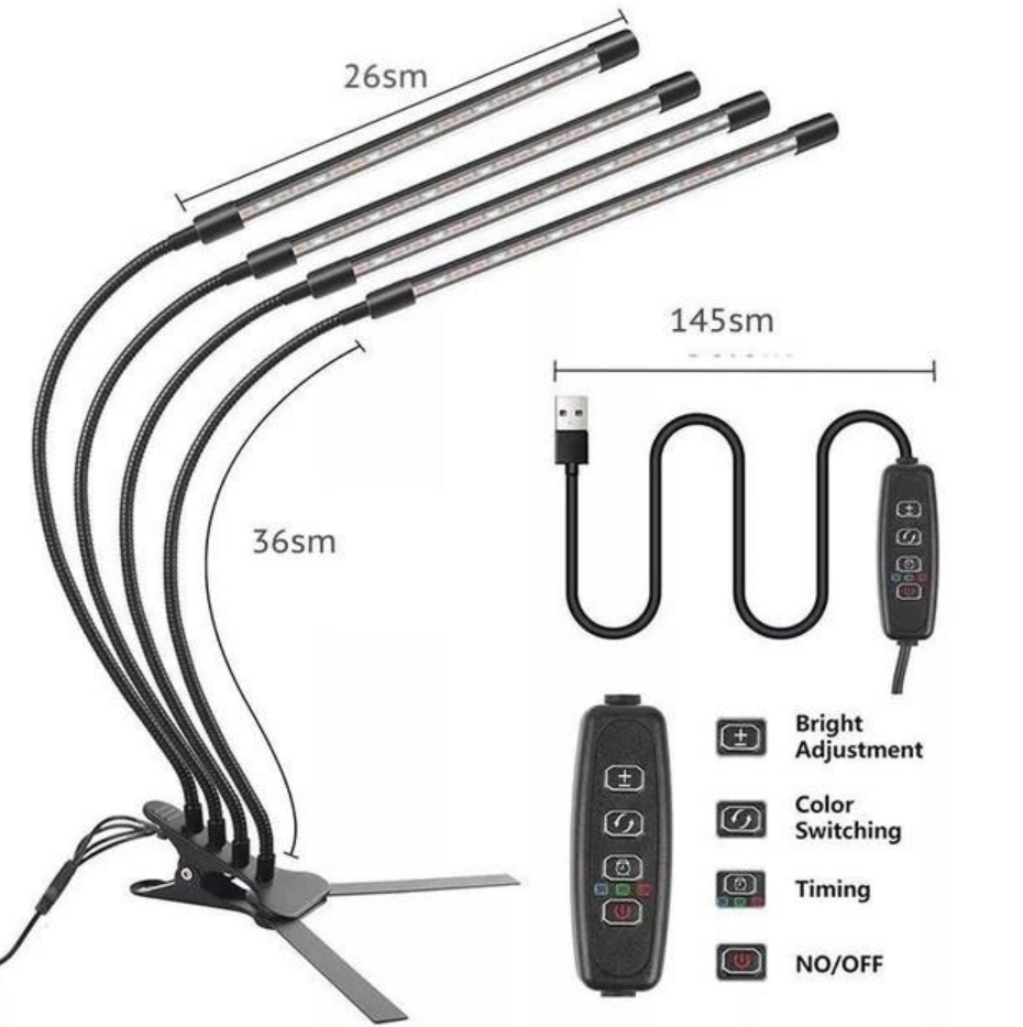 c9e63393-1aa1-11ef-ad89-166b0be12ee5_1