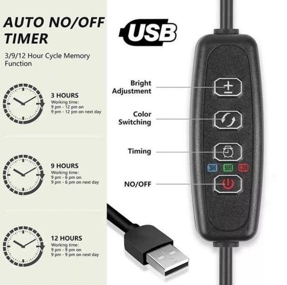 c9e63393-1aa1-11ef-ad89-166b0be12ee5_2