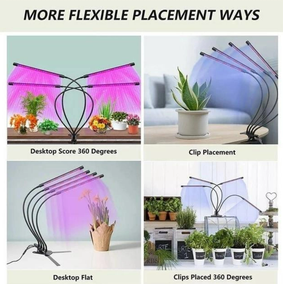 c9e63393-1aa1-11ef-ad89-166b0be12ee5_3