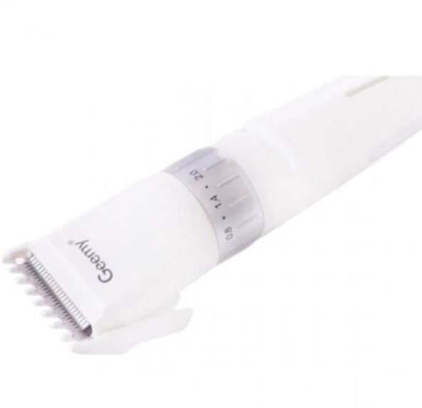 cb981926-6794-11ef-861f-dee18ff4e8c0_1