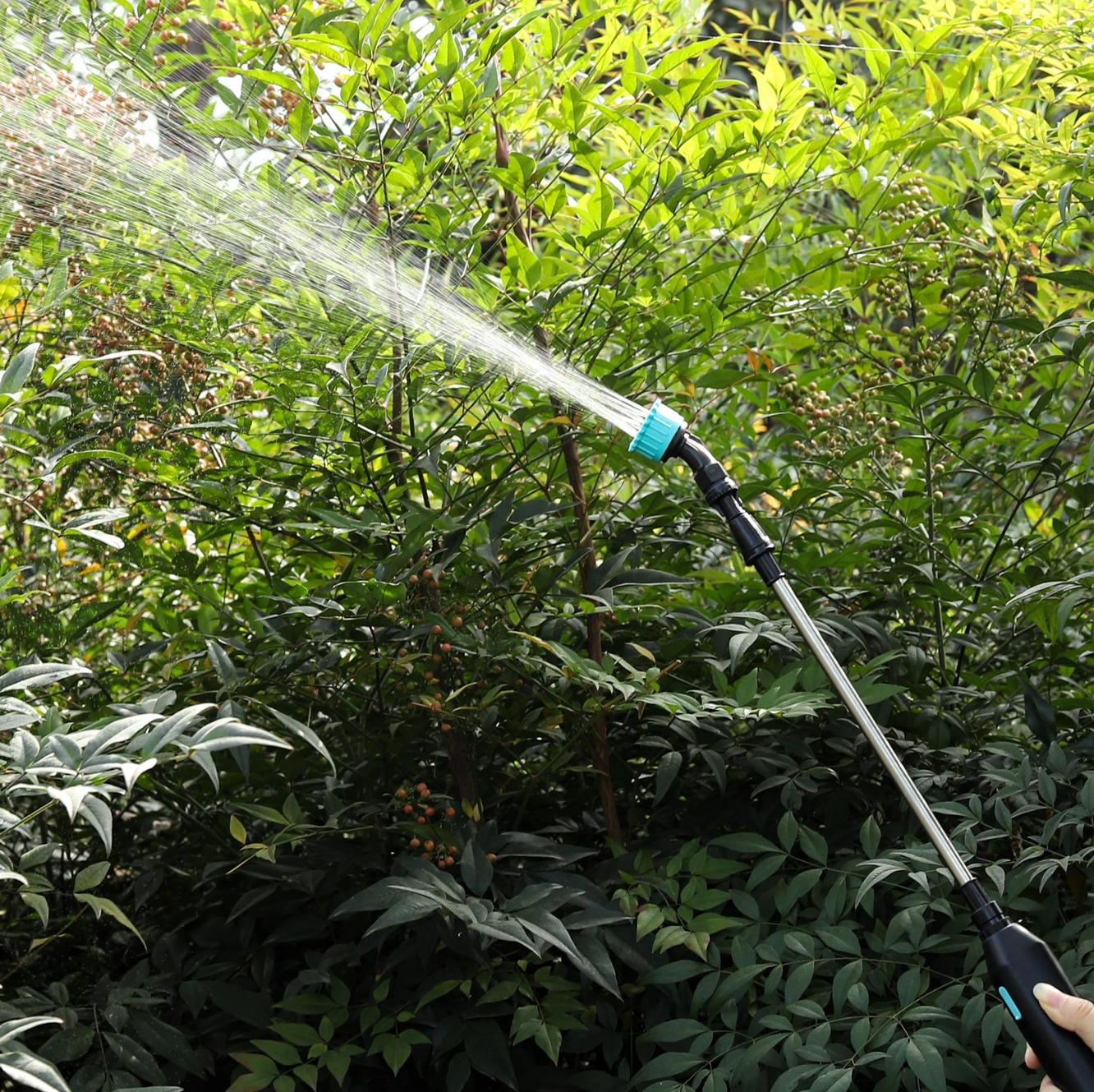 d074541f-3aee-11f0-8622-dee18ff4e8c0_5