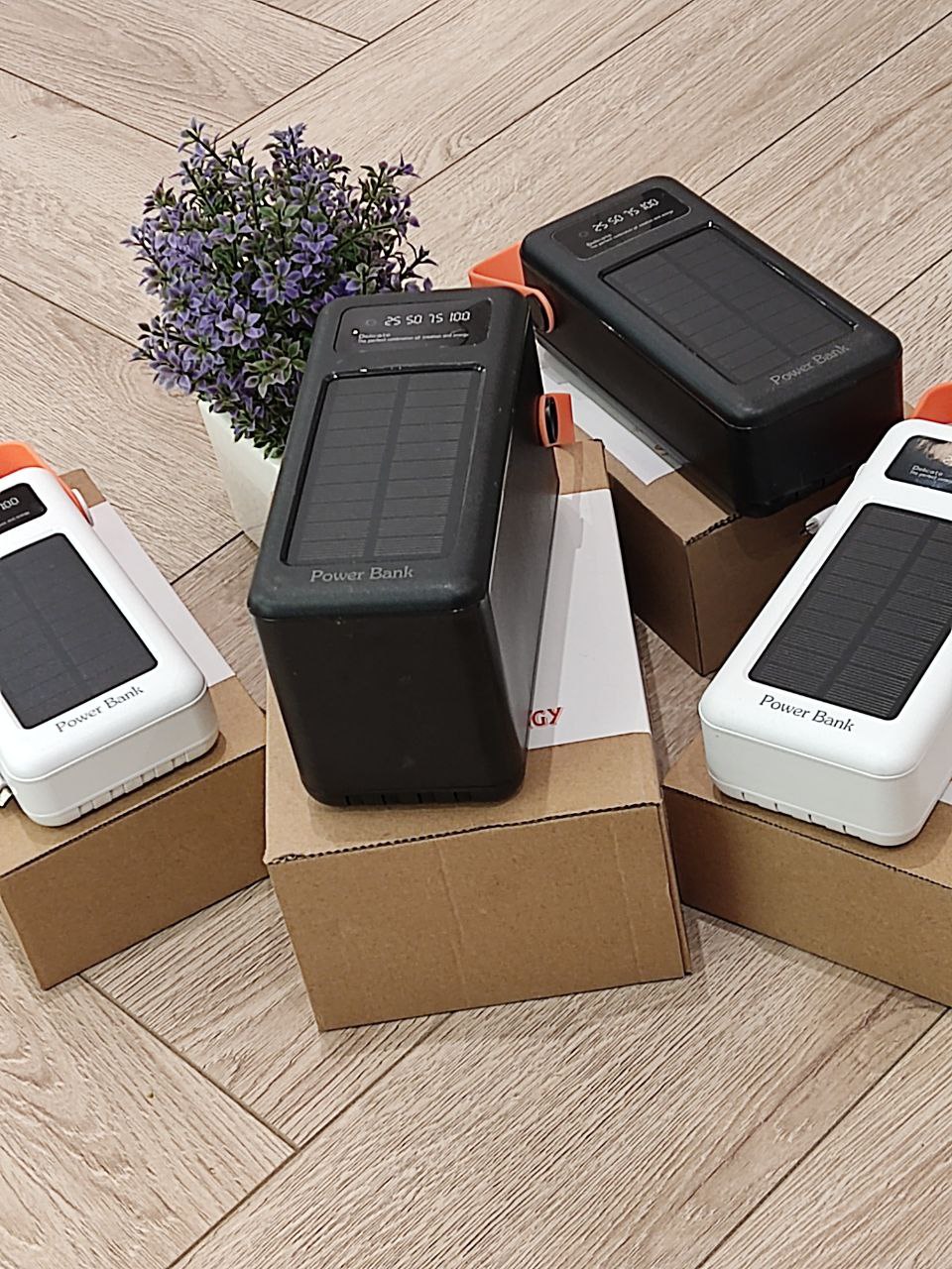 fce49029-a393-11ed-ace4-166b0be12ee5_5