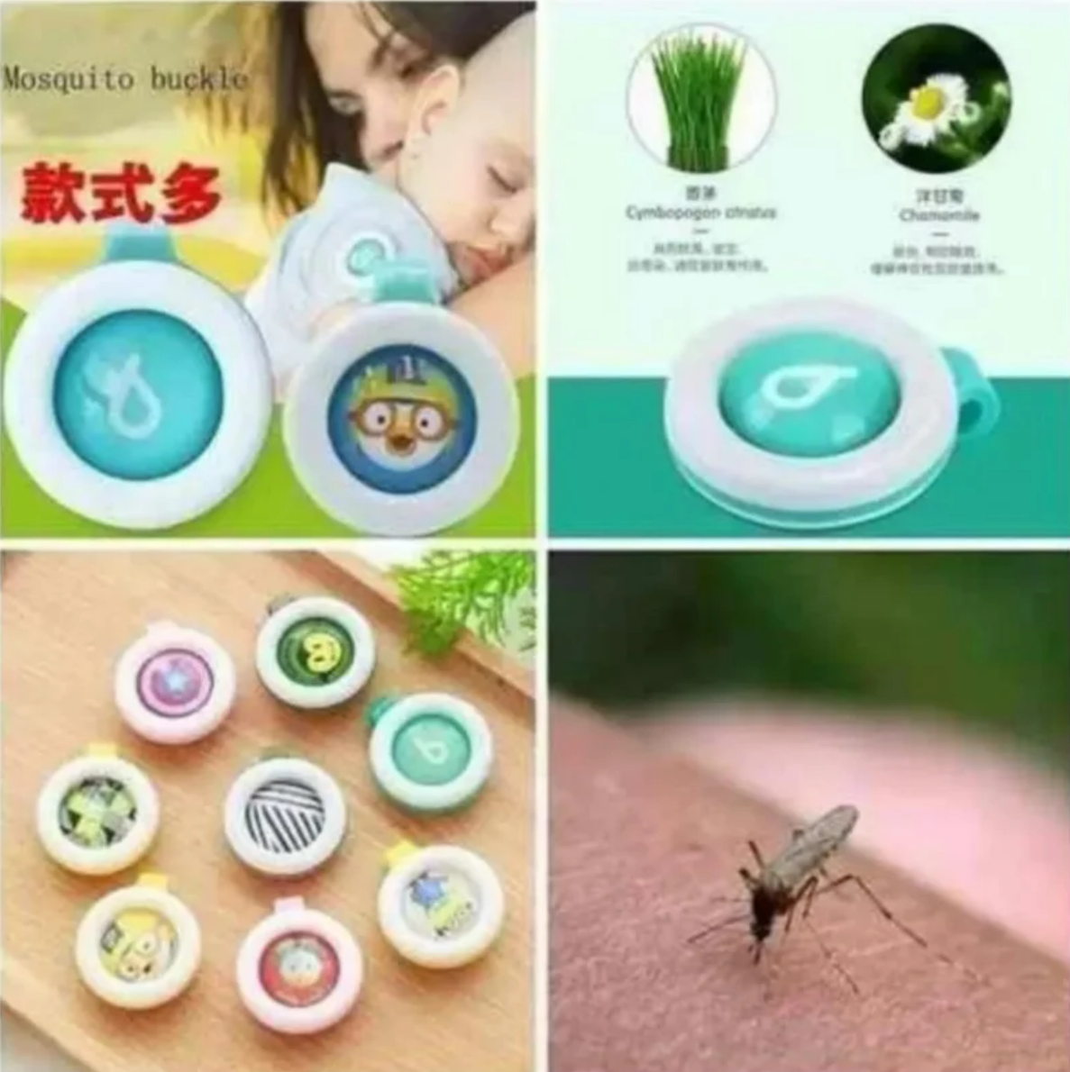 fe6afcb0-ea20-11ef-8621-dee18ff4e8c0_1