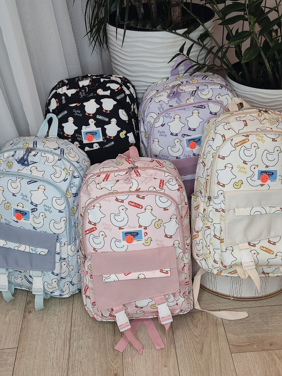 1026950e-2af6-11ef-ad92-166b0be12ee5_10