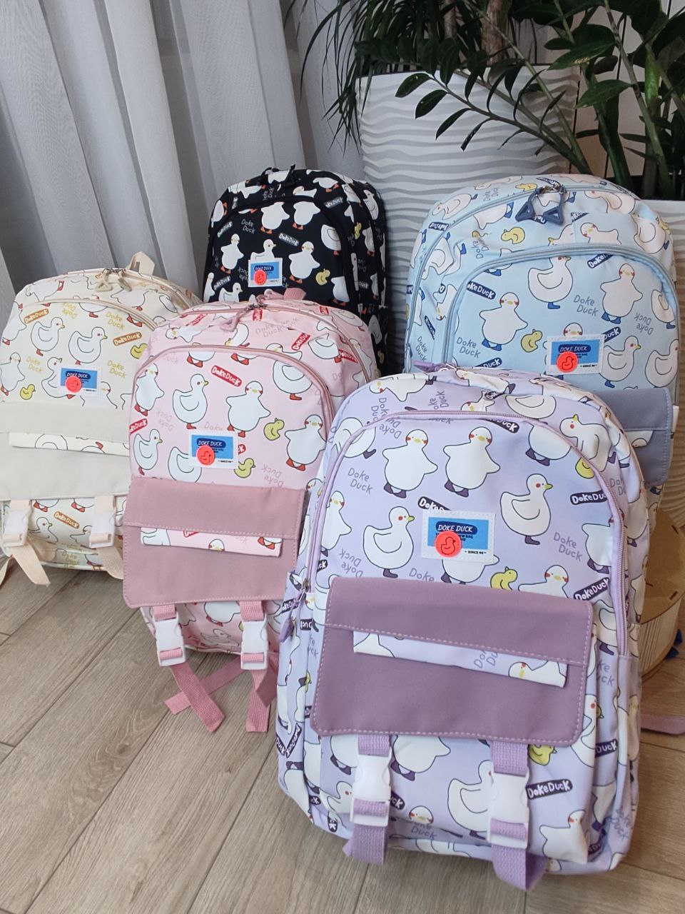 1026950e-2af6-11ef-ad92-166b0be12ee5_11