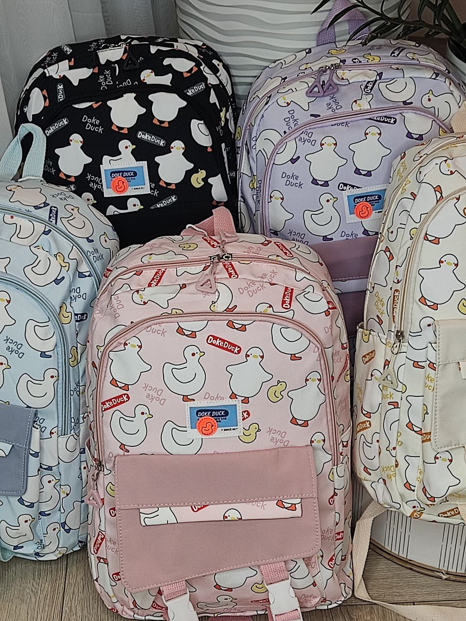 1026950e-2af6-11ef-ad92-166b0be12ee5_4