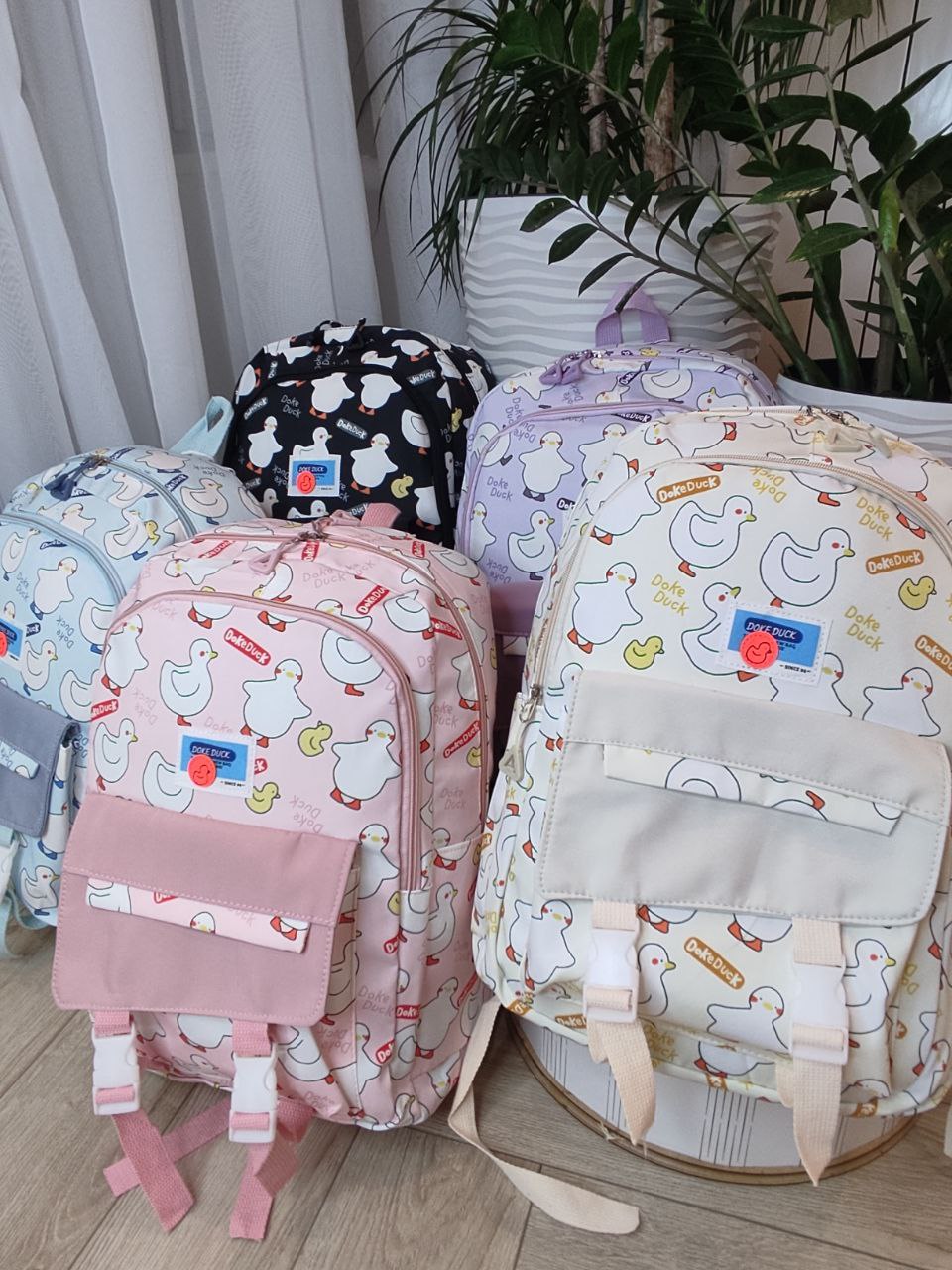 1026950e-2af6-11ef-ad92-166b0be12ee5_6