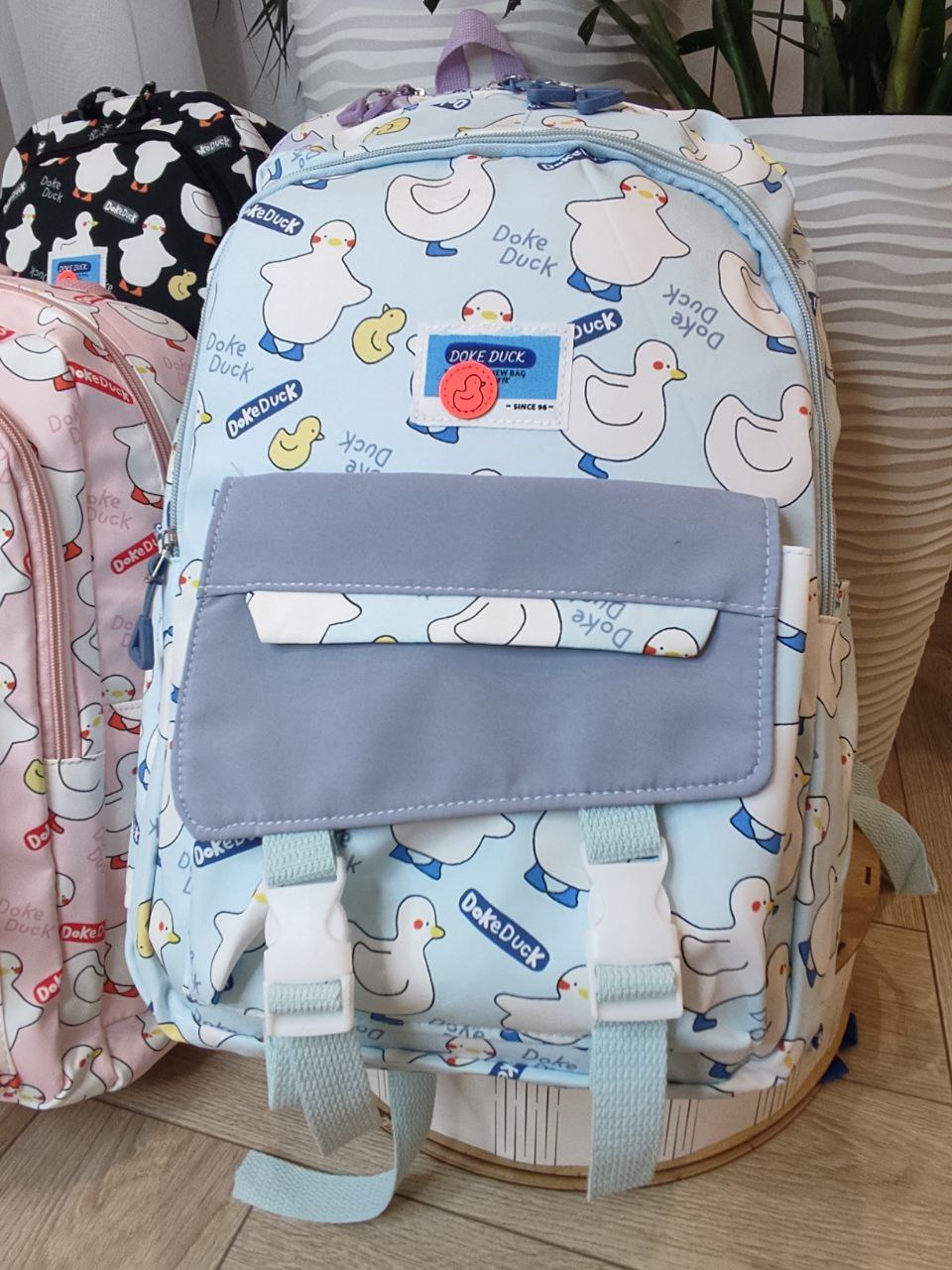 1026950e-2af6-11ef-ad92-166b0be12ee5_7