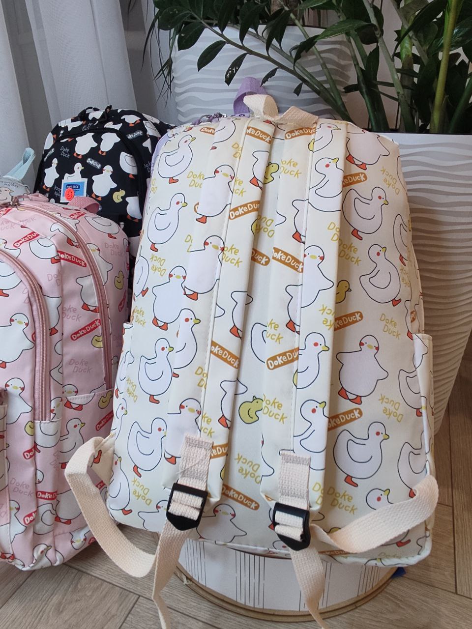 1026950e-2af6-11ef-ad92-166b0be12ee5_8