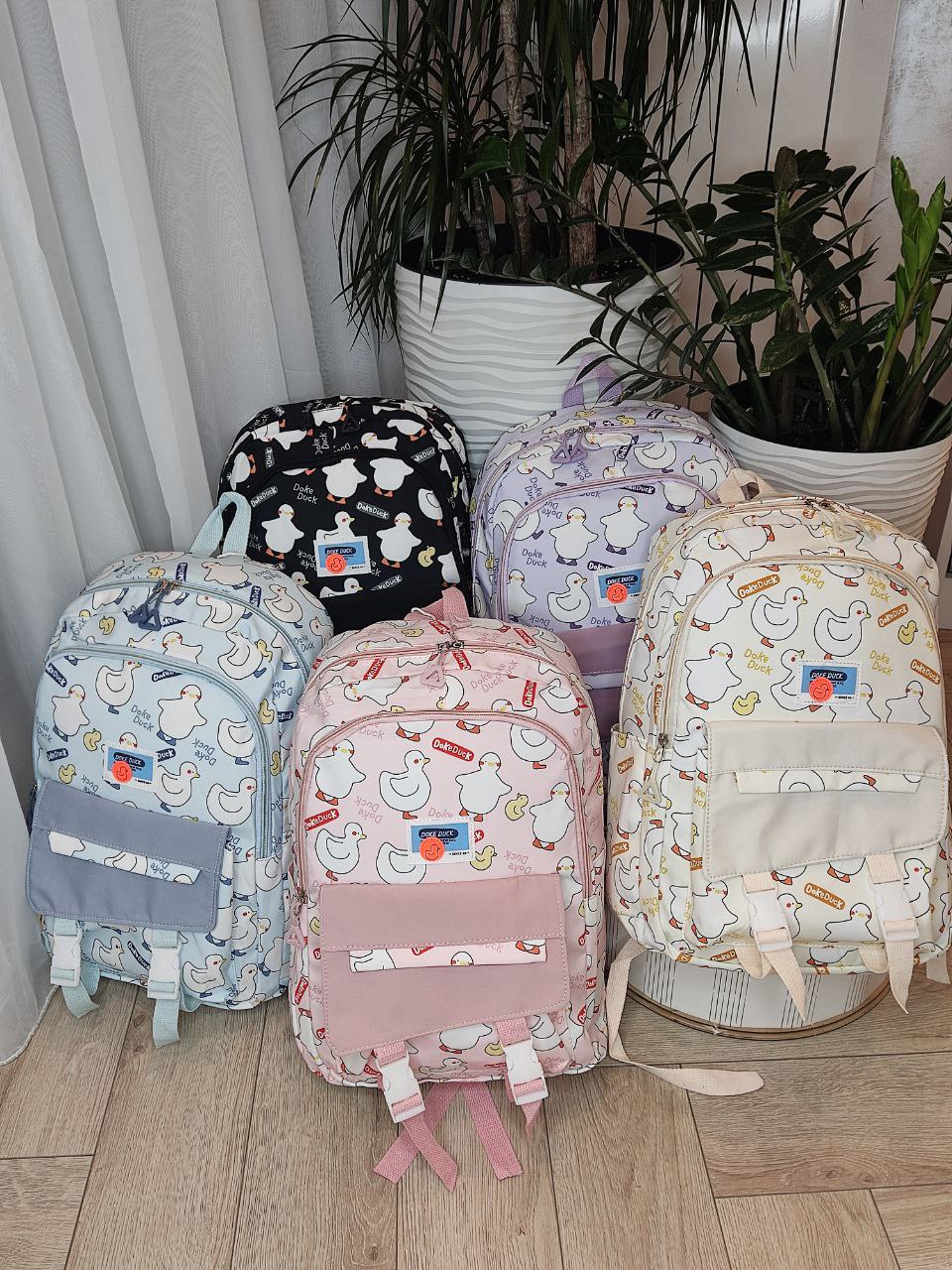 1026950e-2af6-11ef-ad92-166b0be12ee5_9