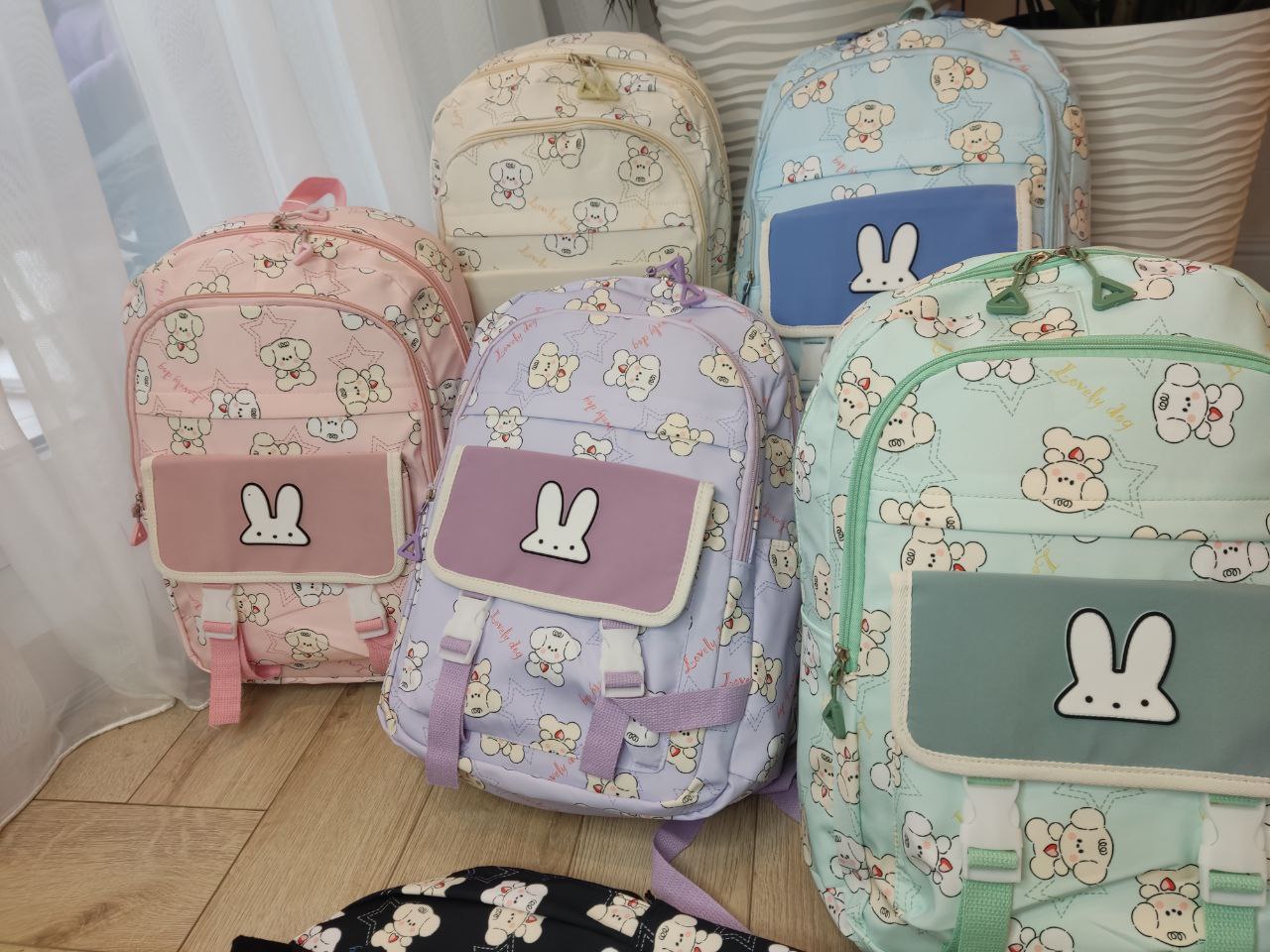 10269524-2af6-11ef-ad92-166b0be12ee5_2