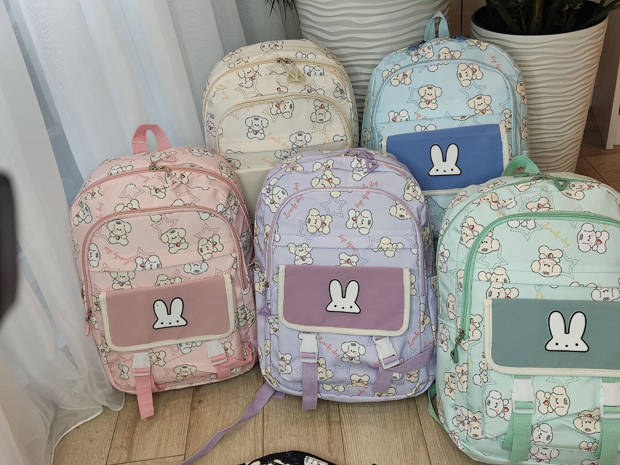 10269524-2af6-11ef-ad92-166b0be12ee5_5