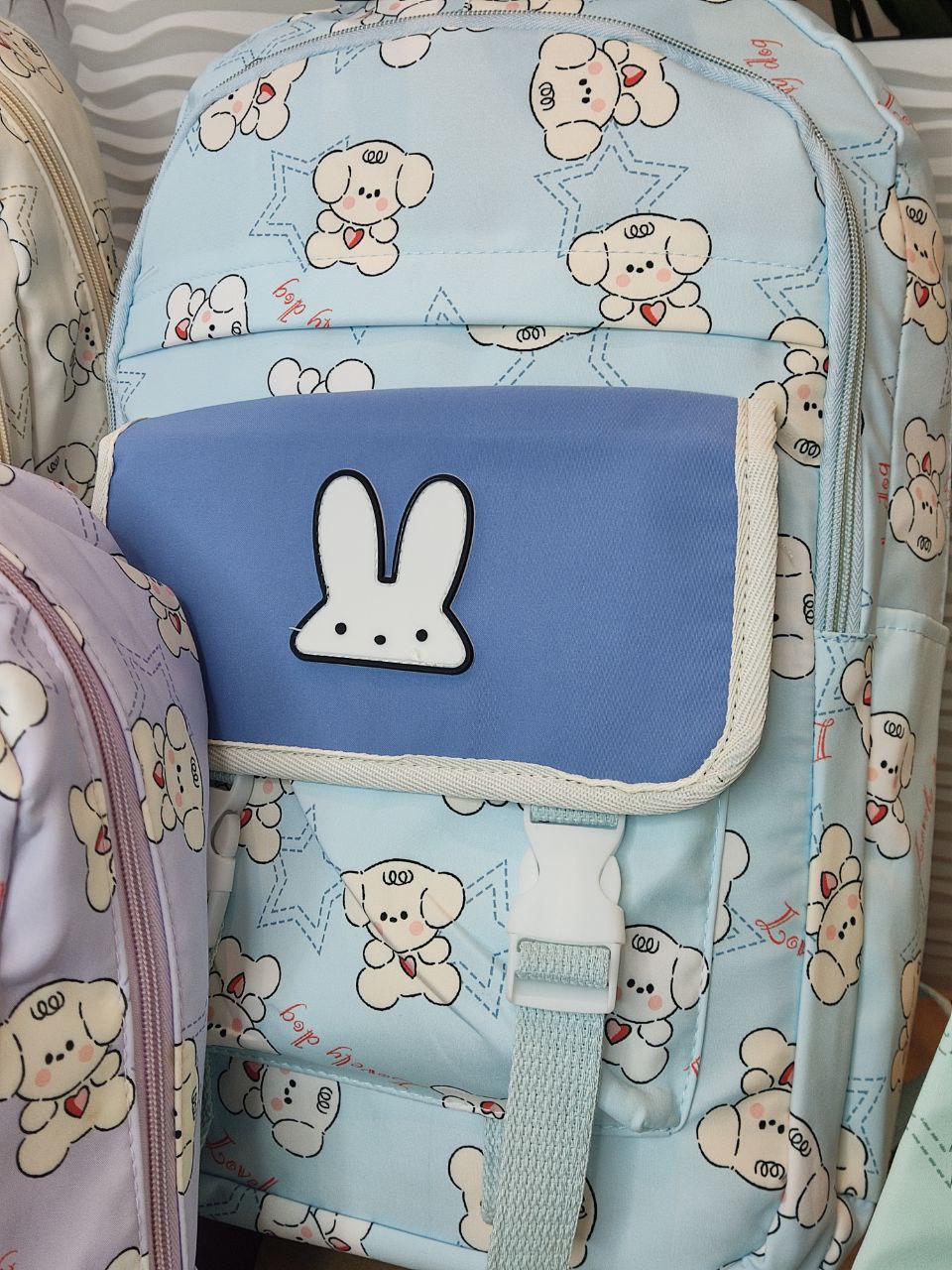 10269524-2af6-11ef-ad92-166b0be12ee5_6