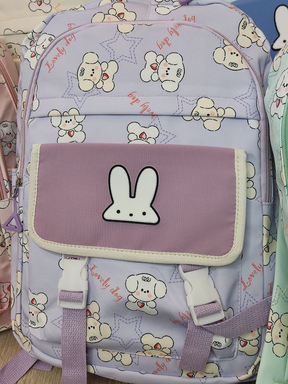 10269524-2af6-11ef-ad92-166b0be12ee5_7