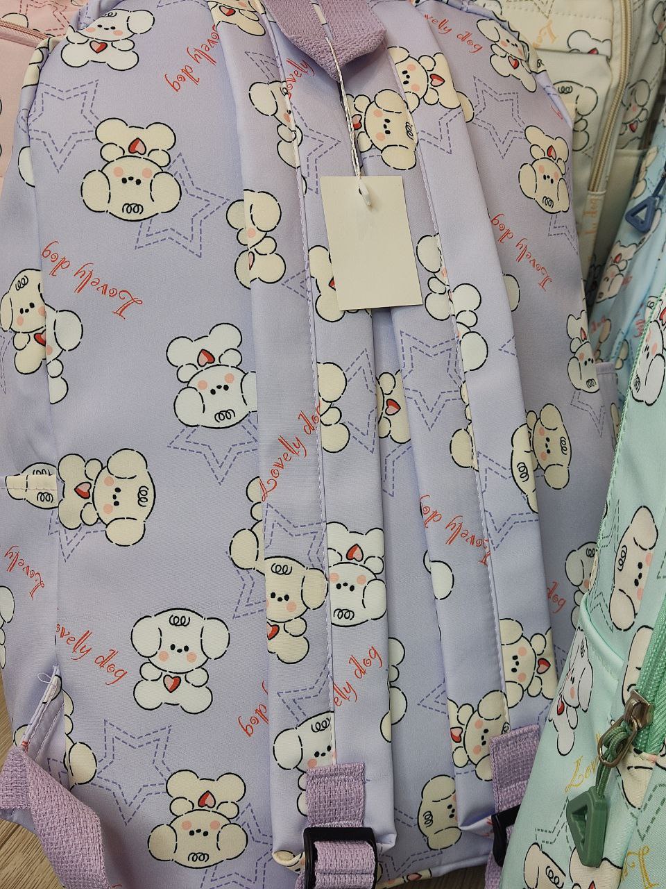 10269524-2af6-11ef-ad92-166b0be12ee5_8