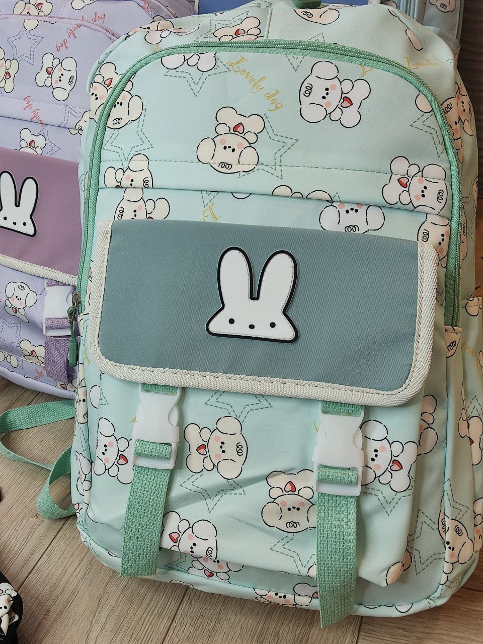 10269524-2af6-11ef-ad92-166b0be12ee5_9