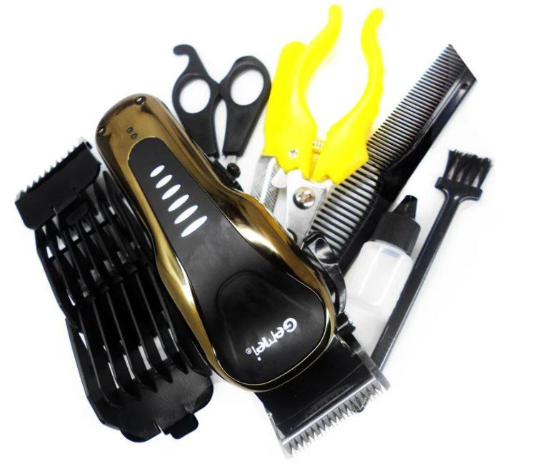 24f9d7c6-e939-11eb-ac29-166b0be12ee5_1