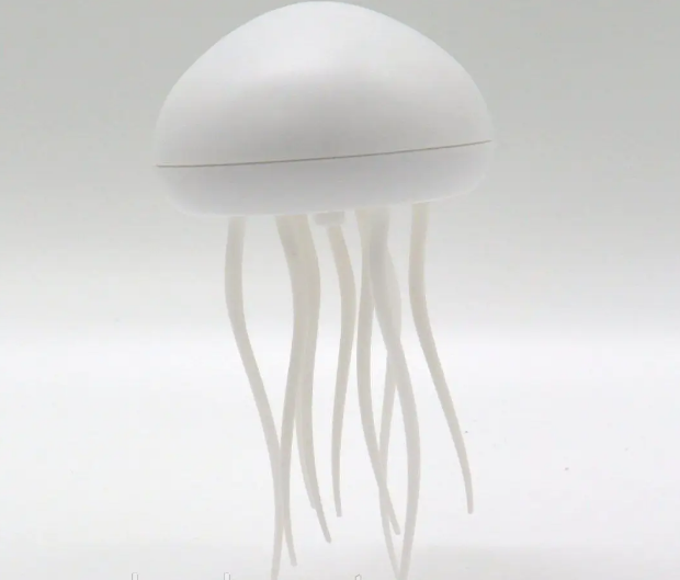 2daea36d-df0b-11ef-8621-dee18ff4e8c0_1