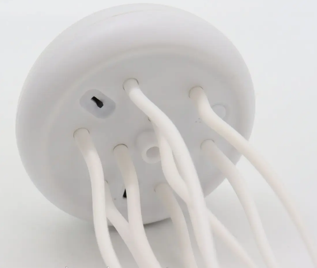 2daea36d-df0b-11ef-8621-dee18ff4e8c0_2