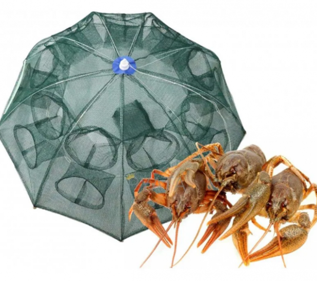 2ec636ed-6007-11f0-8623-dee18ff4e8c0_1