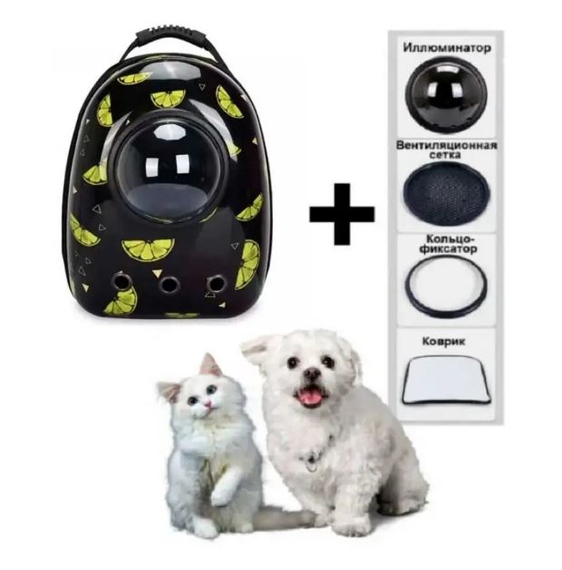 5c71ee3b-f4fe-11ee-ad66-166b0be12ee5_1