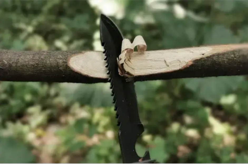 a09d64a0-e5db-11ee-ad55-166b0be12ee5_4