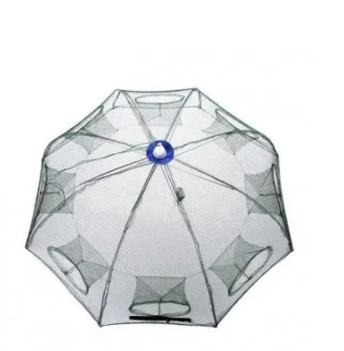 c2f3fe19-13d6-11ed-acb3-166b0be12ee5_2