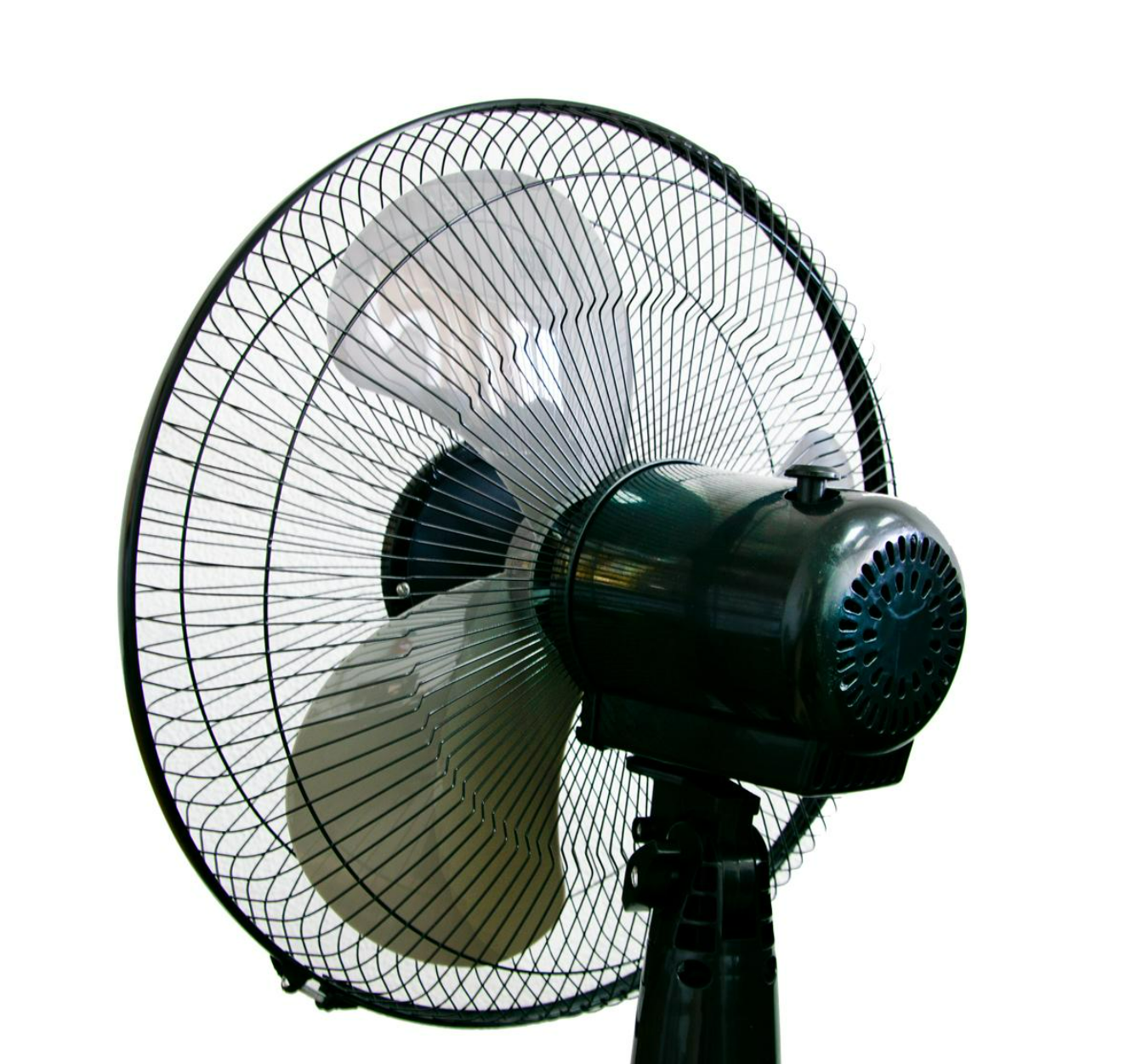 c9e7943e-77d8-11e9-9617-00155d012721_5